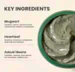 Buy AXIS-Y Mugwort Wash Off Pack Online - Image 3